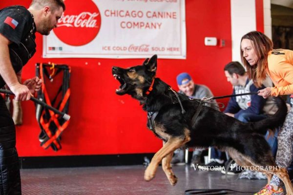 FB_IMG_1426022766674