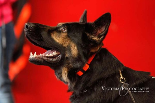 FB_IMG_1426022769903