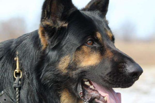 FB_IMG_1427334782355