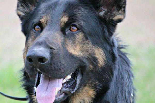 FB_IMG_1429905908204